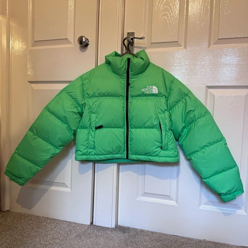 The north face - nuptse, cropped