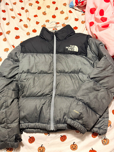 The north face - 1996, retro
