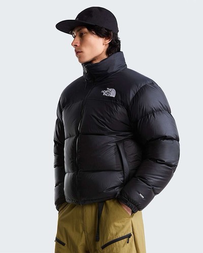 The north face 1996 - north, retro