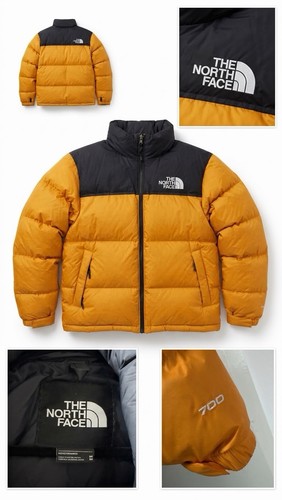 North face 1996 nuptse - north,
