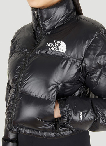 The north face women - the, women’s