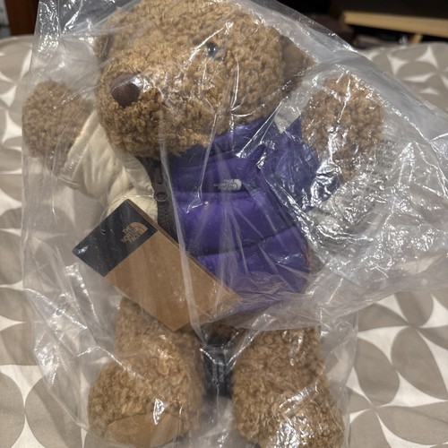 Supreme the north face bear - supreme,